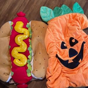 Pair of dog Halloween costumes